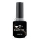 NailPerfect UPVOTED Cat Eye Soak Off Gel Polish 15ml - Color #001 Maine Coon