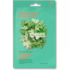 Pure Essence Mugwort Mask Sheet