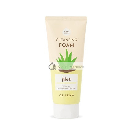ORJENA Smile Day Aloe Cleansing Foam for Face Korean Skincare Deep Perfect Cleansing