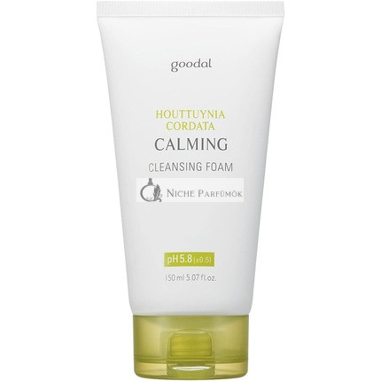 GOODAL Houttuynia Cordata Calming pH Balancing Cleansing Foam AD
